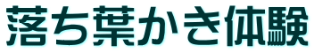 ť
