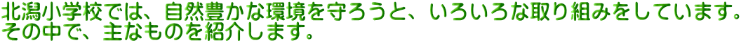 kwZł́ARLȊ낤ƁA낢Ȏg݂Ă܂B ̒ŁAȂ̂Љ܂B