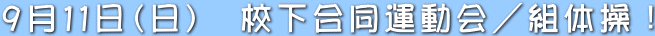 XPPij@Z^^g̑I