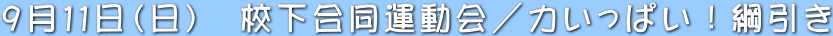 XPPij@Z^^͂ςIj